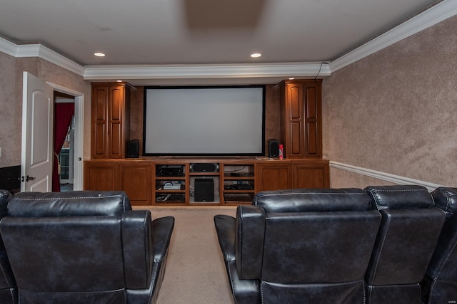 cinema room with carpet and crown molding