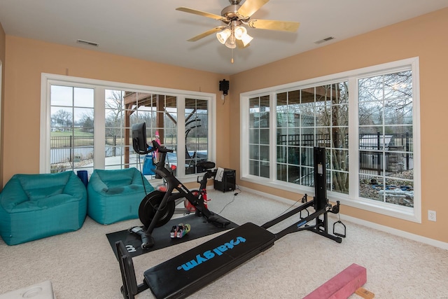 exercise room featuring carpet flooring and ceiling fan