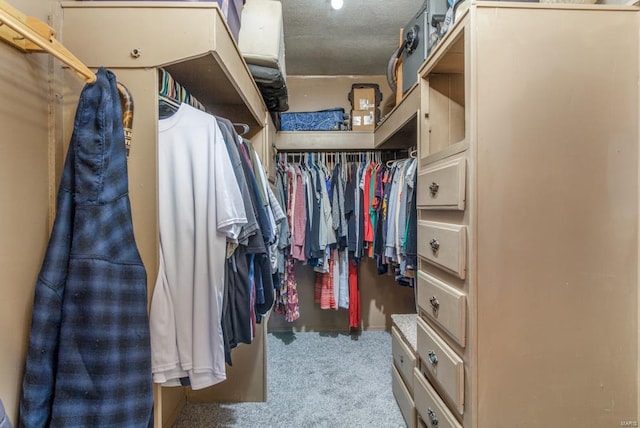 spacious closet featuring light carpet