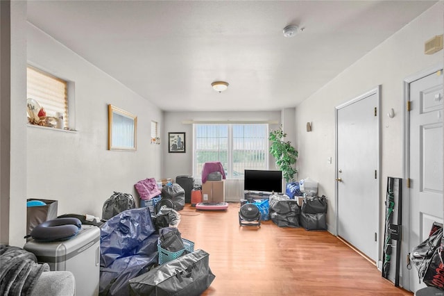 living room with wood-type flooring