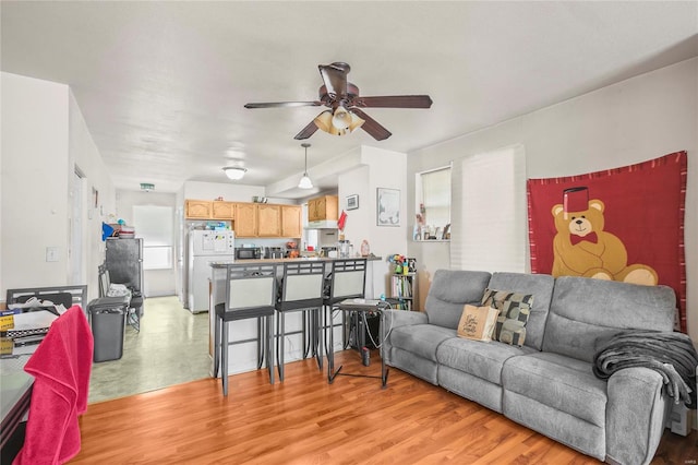 living room featuring light hardwood / wood-style flooring and ceiling fan