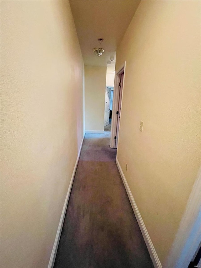 hallway featuring carpet