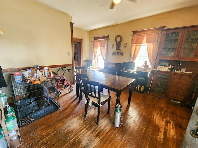 dining area with ceiling fan and dark wood-type flooring