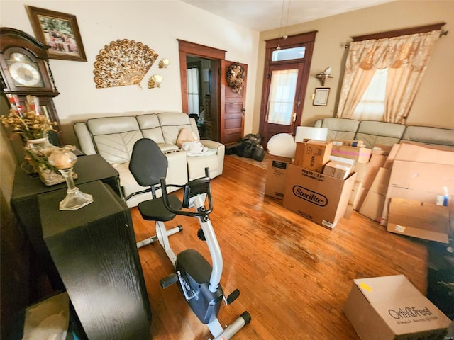 exercise room featuring wood-type flooring