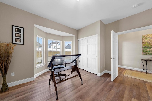 office featuring dark hardwood / wood-style flooring