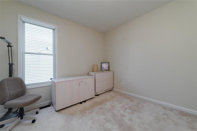 laundry area featuring light carpet