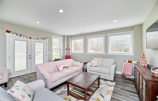 living room featuring plenty of natural light, hardwood / wood-style floors, and french doors