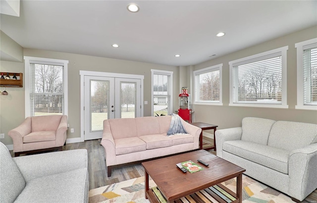 living room featuring hardwood / wood-style flooring and french doors