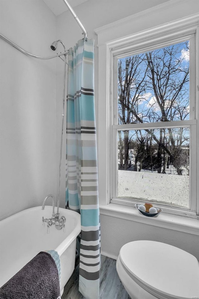 full bathroom featuring a freestanding bath, a shower with curtain, and toilet