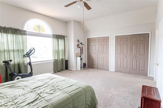 bedroom featuring carpet floors, multiple windows, baseboards, and two closets