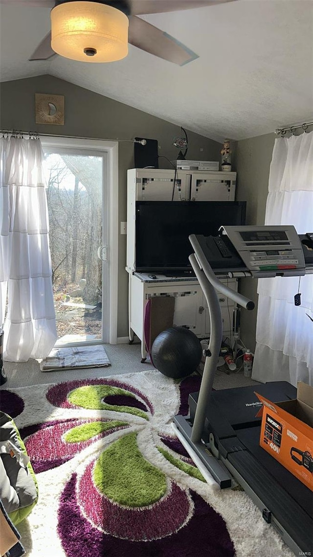 exercise room featuring carpet and vaulted ceiling