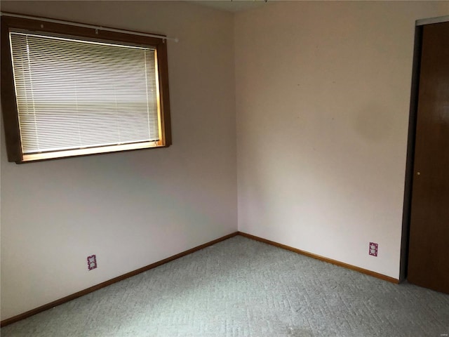 spare room with carpet