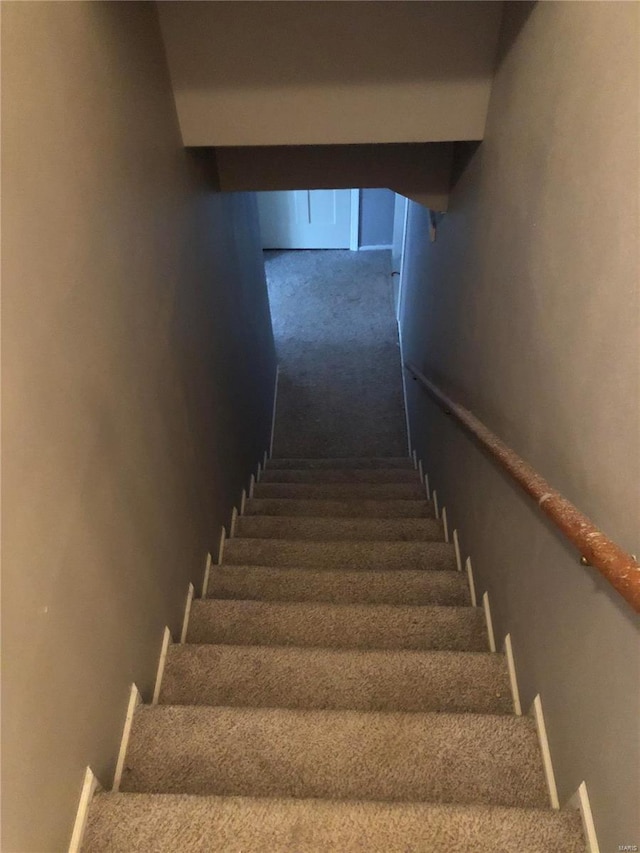 stairway featuring carpet flooring