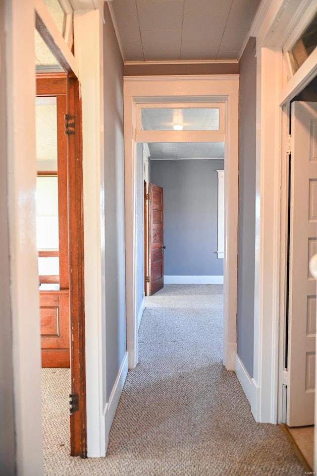 hallway with light carpet and ornamental molding