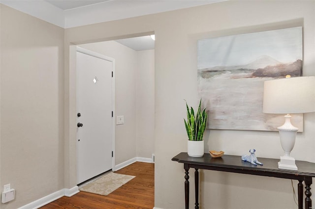 entrance foyer with dark wood-type flooring