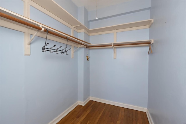 spacious closet featuring dark hardwood / wood-style floors