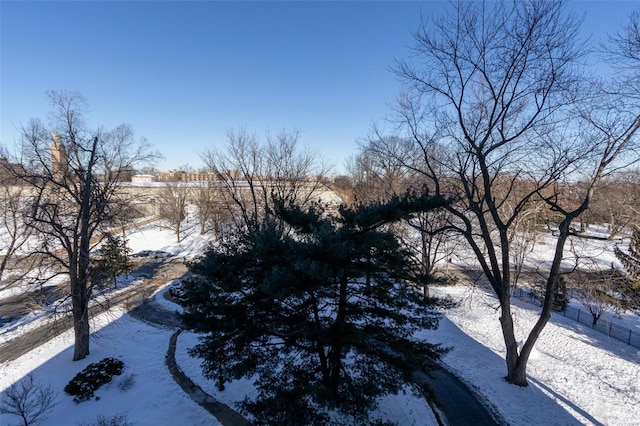 view of yard layered in snow