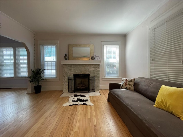 living room with a fireplace, light hardwood / wood-style flooring, and ornamental molding