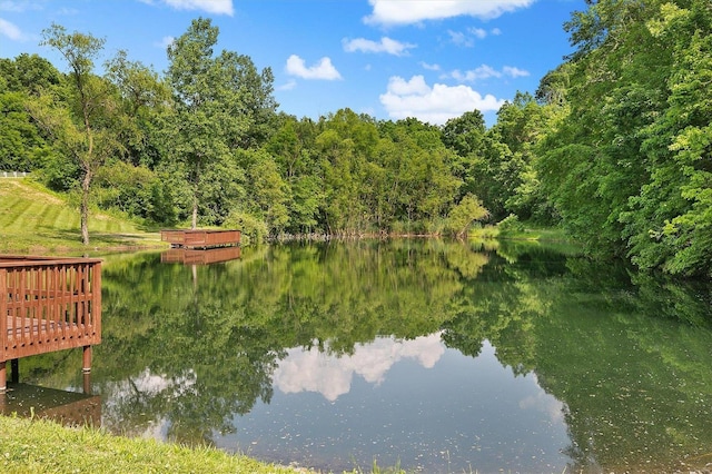 view of water feature