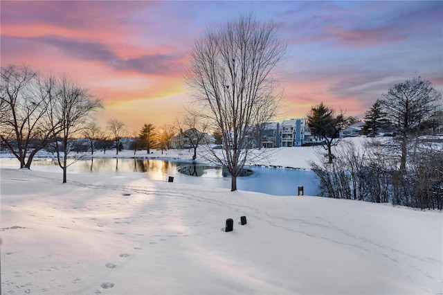 yard layered in snow with a water view