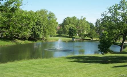 view of water feature