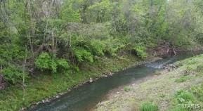 view of local wilderness