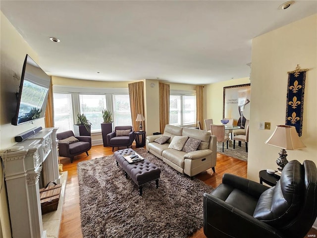 living room with light hardwood / wood-style flooring