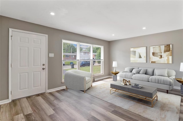 living room with light hardwood / wood-style flooring