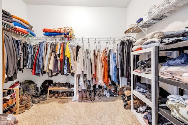 walk in closet with carpet flooring