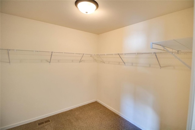 walk in closet featuring carpet floors and visible vents