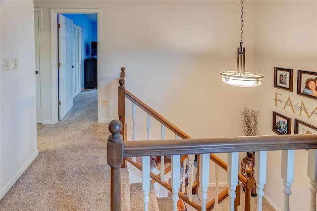 stairs with carpet floors