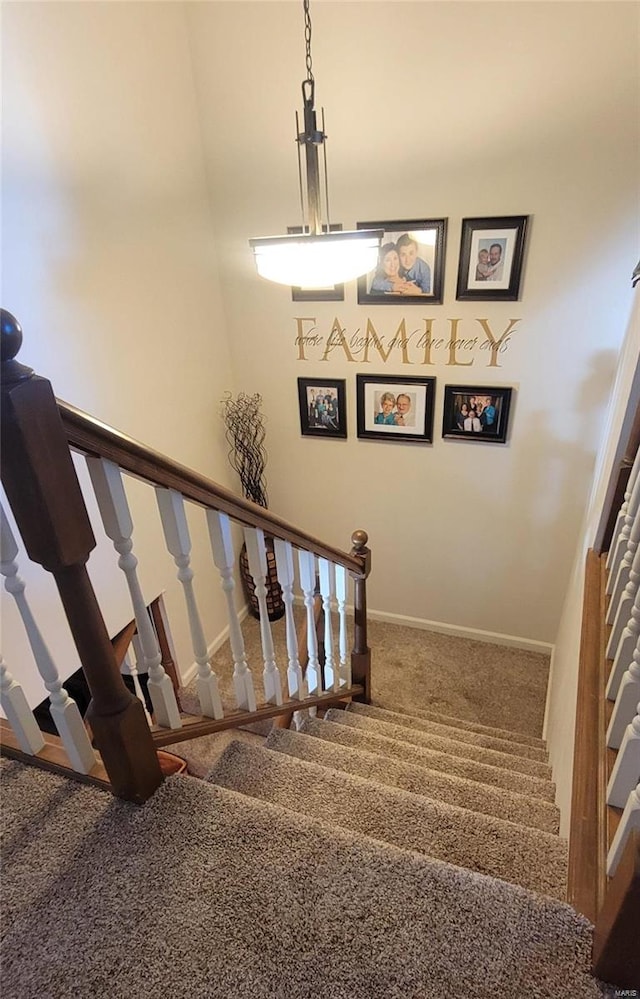 stairs with carpet floors