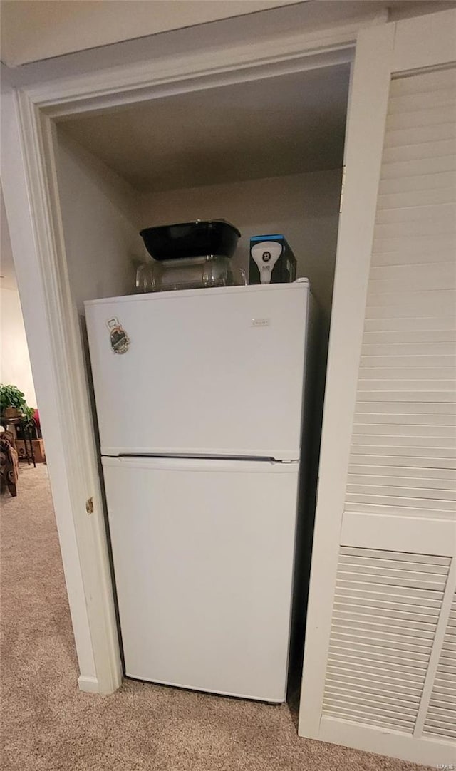 details with carpet and white fridge