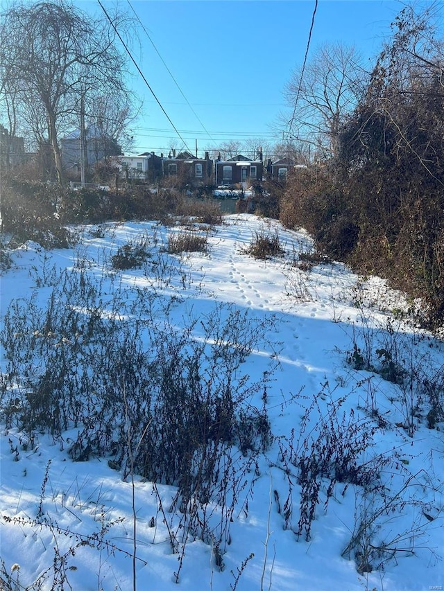 view of snowy yard