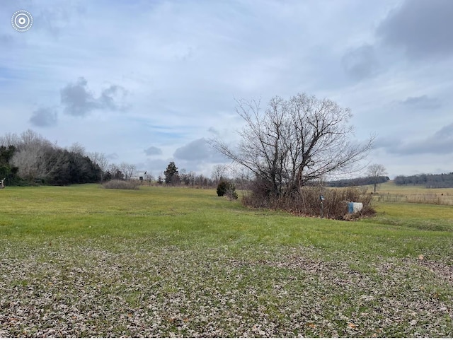 view of yard with a rural view