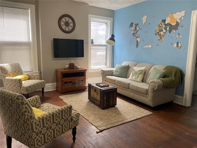 living room with hardwood / wood-style flooring