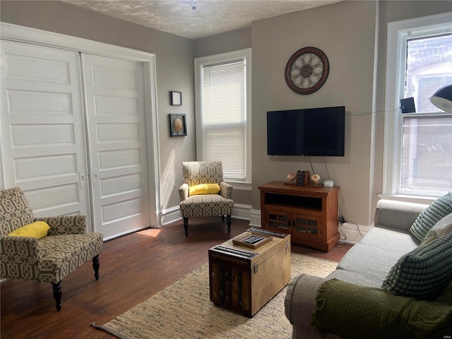 living room featuring a healthy amount of sunlight, a textured ceiling, and hardwood / wood-style flooring