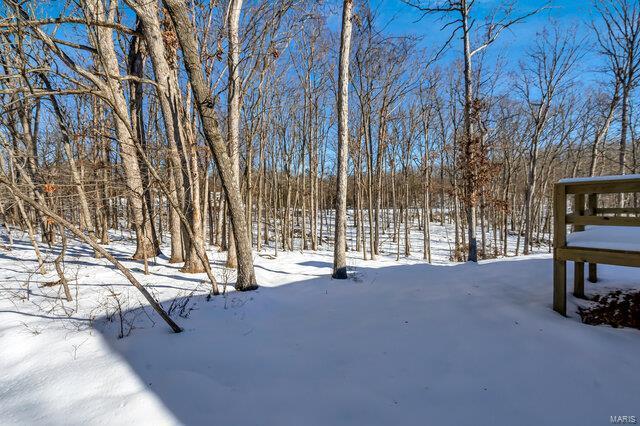 view of snowy yard