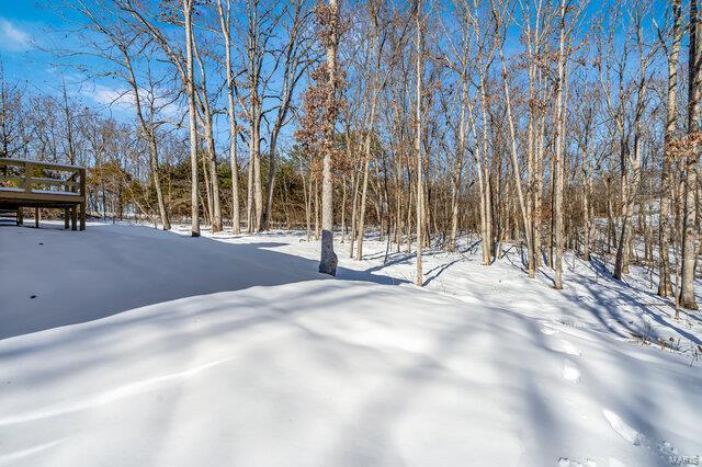 view of yard layered in snow