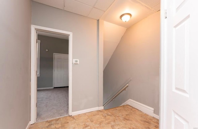 stairway featuring carpet floors