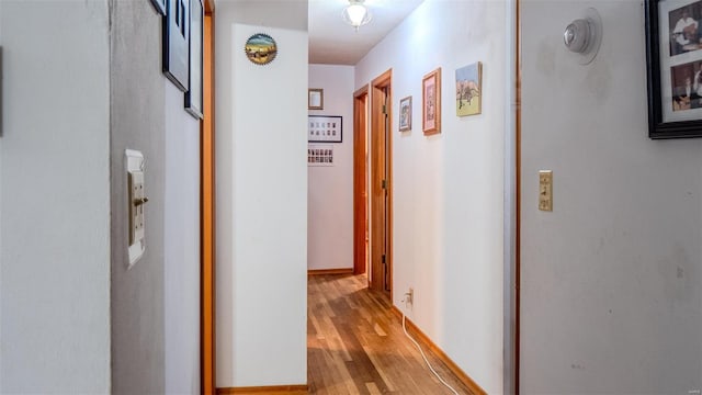 hall with light hardwood / wood-style floors