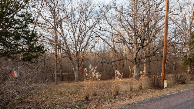 view of landscape