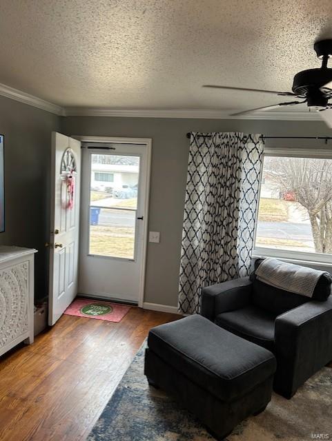 interior space featuring wood-type flooring, a textured ceiling, ceiling fan, and ornamental molding