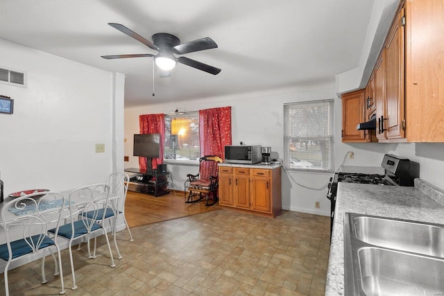 kitchen with sink and ceiling fan