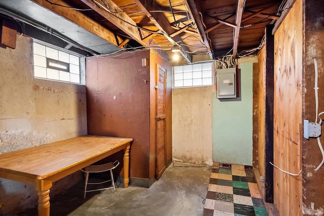 basement with plenty of natural light and electric panel