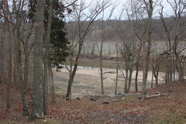 view of water feature