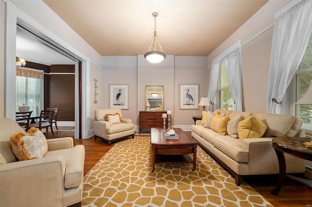 living room featuring wood-type flooring and a wealth of natural light