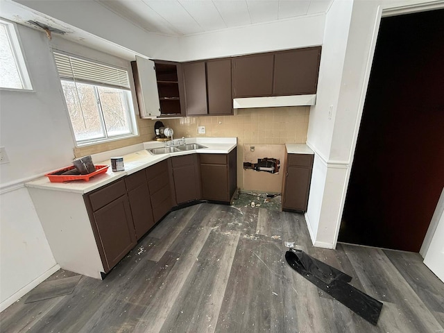 kitchen with decorative backsplash, dark brown cabinets, dark hardwood / wood-style flooring, and sink