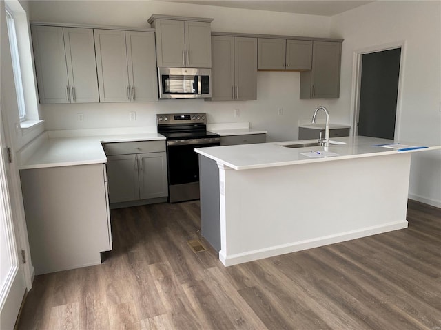 kitchen with gray cabinetry, sink, an island with sink, and stainless steel appliances