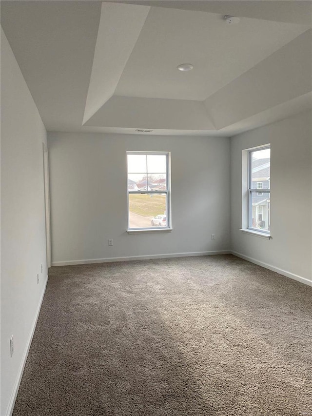 spare room featuring a tray ceiling, plenty of natural light, and carpet floors